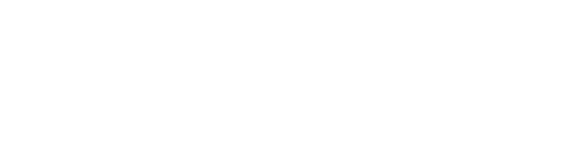 Biz Edge